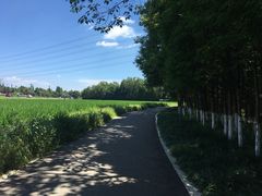 -桤木河湿地公园