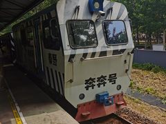 -秦皇岛野生动物园