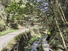 -夏霖九天银瀑风景区