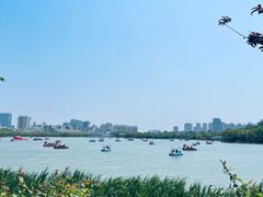 -天津水上公园