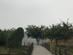 -眉山湿地公园(东坡区)