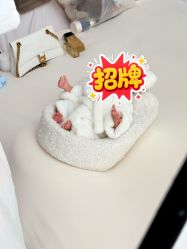 -玛瑞莎孕婴童摄影到家拍
