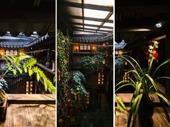 -普洱茶府(博乐广场店)