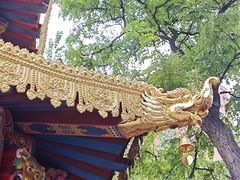 -护国法轮寺
