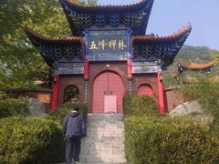 -遵化市禅林寺古银杏风景园