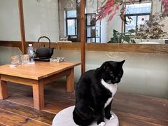 -边渡咖啡烘焙店(昙华林店)