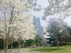 -陆家嘴中心绿地