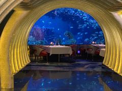 -迪拜帆船酒店海底餐厅