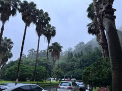 -厦门艾美酒店·新食谱西餐厅