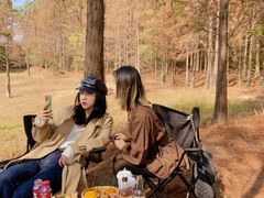 -青龙山国家森林公园