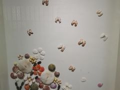 -青岛贝壳博物馆