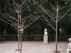 -四门塔风景区