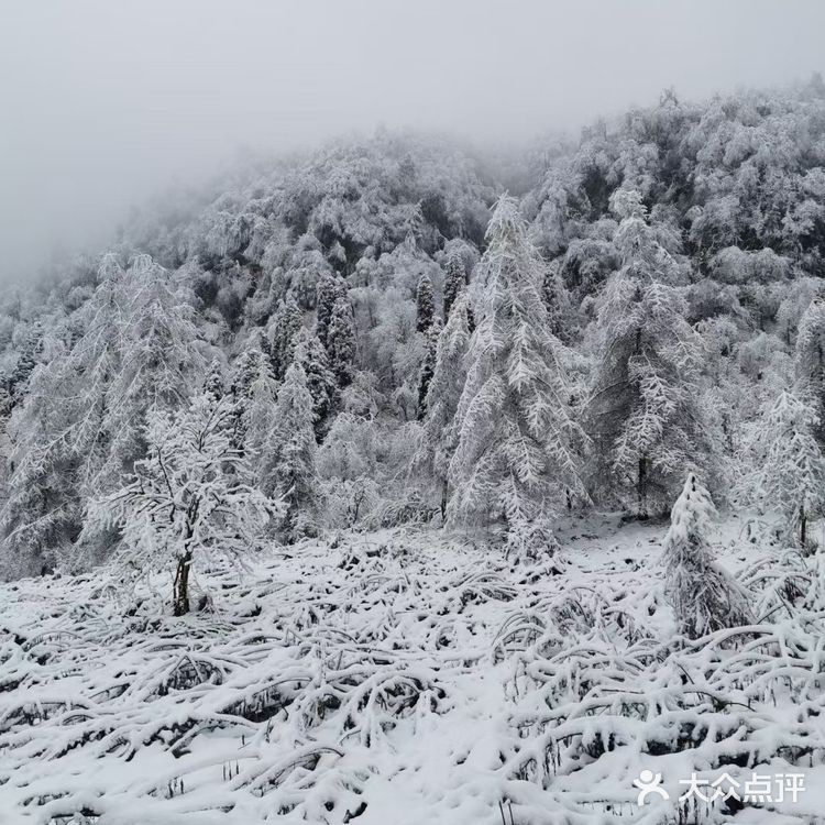 此时此刻想吟诗两首，啊哈哈哈
