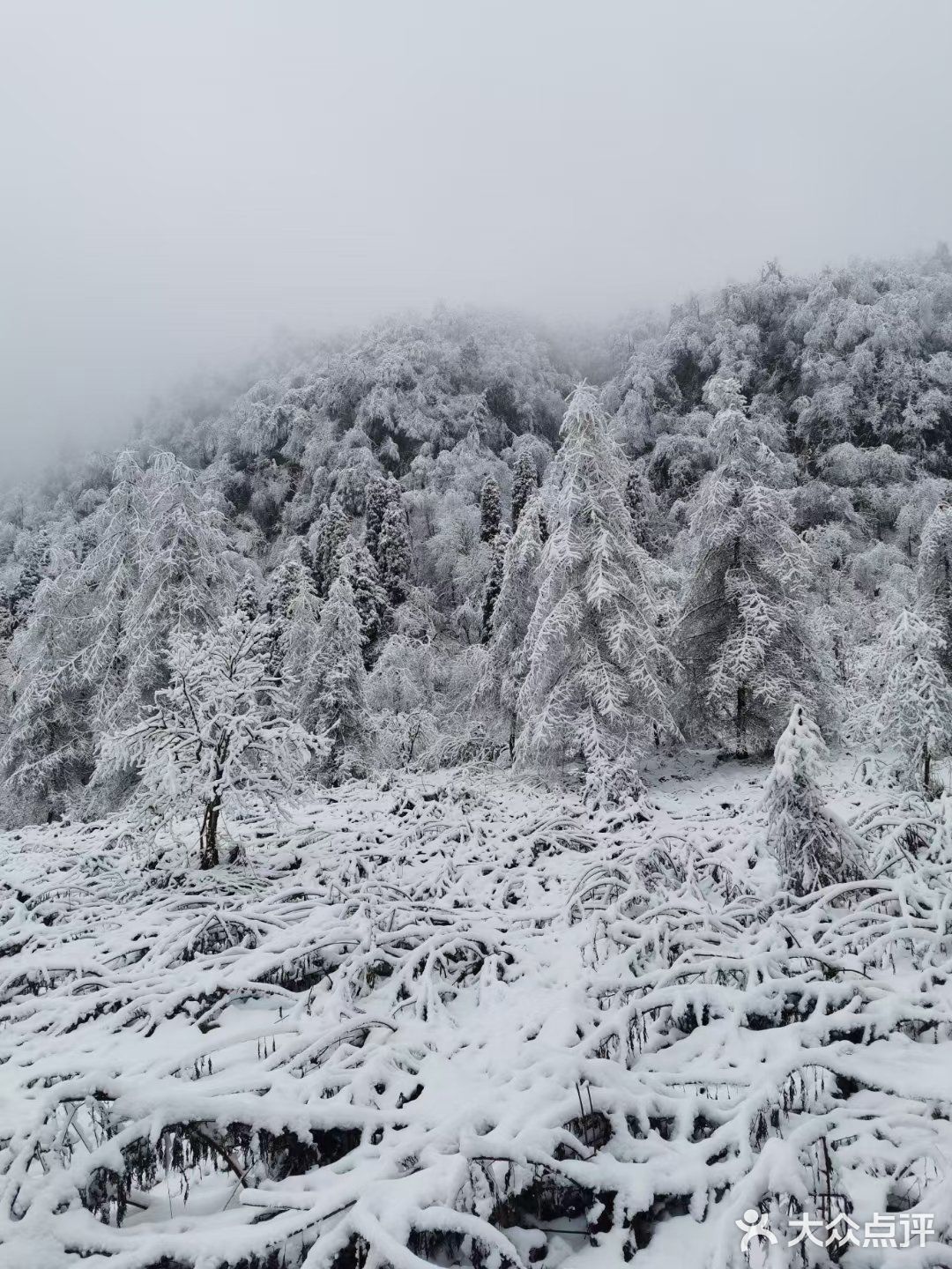 此时此刻想吟诗两首，啊哈哈哈