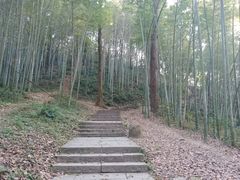 -西湖风景区十里琅珰-五云山