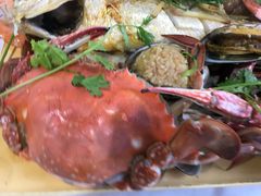 梭子蟹-阿尔法海鲜排档(爱琴海店)