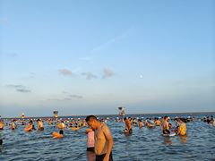 -碧海金沙