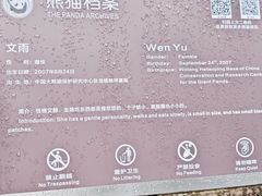 -都江堰中华大熊猫苑