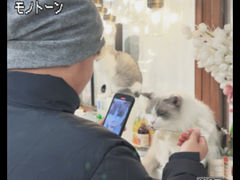 -共舞时光猫咖·狗咖(新街口店)