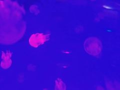 -常州海昌海洋探索馆
