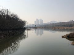 -前关湿地公园