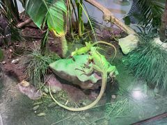 -上海大自然野生昆虫馆(东方明珠·爬宠昆虫探索中心)