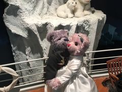 -济州岛泰迪熊博物馆