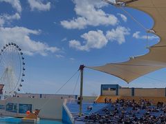 -秦皇岛乐岛海洋王国