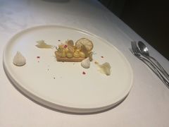 -蝶舍·MAISON PAPILLON