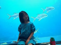 -瑞德姆美人鱼海底演艺主题餐厅(亚龙湾店)