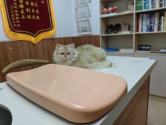 -宠福鑫动物医院·动物疾病诊疗中心(天通苑店)