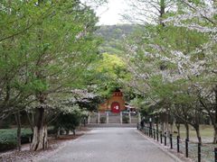 -宝岩生态观光园