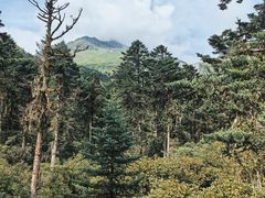 -海螺沟风景区