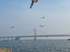 -星海广场