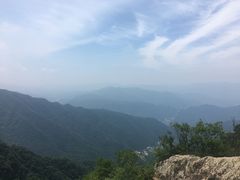 -王顺山国家森林公园