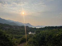 -杨梅坑