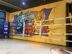 -臻元搏击格斗泰拳拳馆(港隆店)