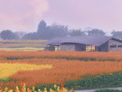 -白鹭湾湿地公园