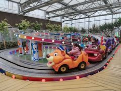 -南宫五洲植物乐园