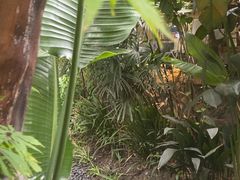 -都氏家DUSJOY(翡翠城店)