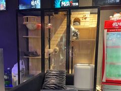 -瞳·实景密室逃脱(护国店)