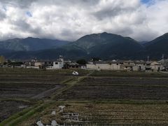 -喜林苑·稻田餐厅(品相府店)