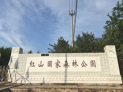 -红山国家森林公园