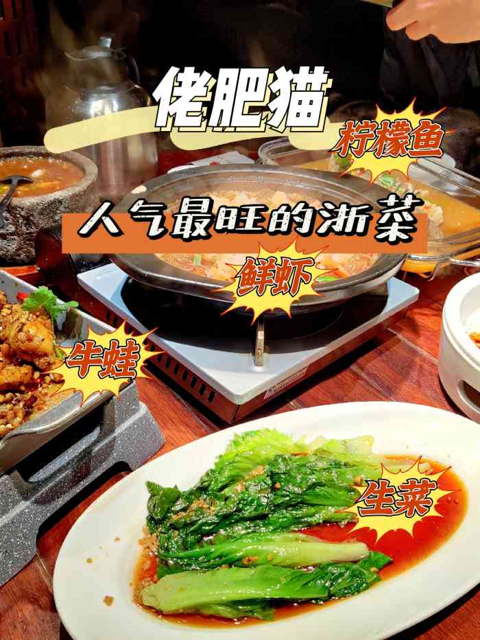 佬肥猫(松江东明店)-"在大众点评上搜到这家店评分很高,还是18.
