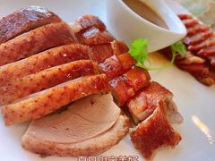 -椿记烧鹅(叠彩店)