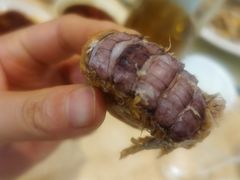-鹏城人家海鲜酒家·23年老字号(较场尾店)