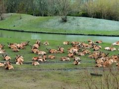 -溱湖国家湿地公园