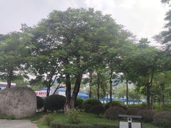 -火炉山森林公园