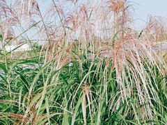 -千龙湖生态旅游度假区