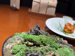 -觀芷隐轩